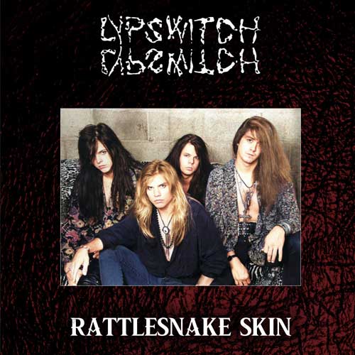 Description of photo